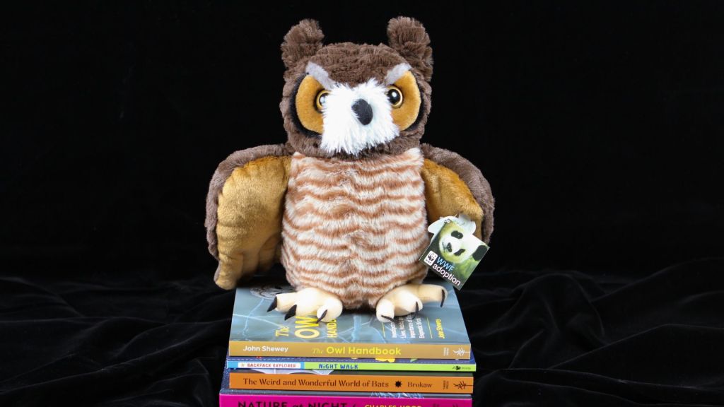 Owl plush on stack of books